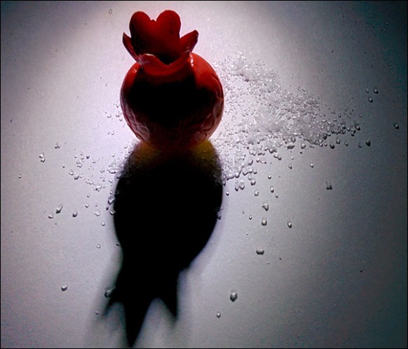 רימון קלקר צבוע, על גרגרי מלח