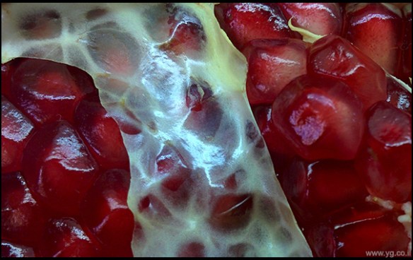 IMG_20171006_102749-600a