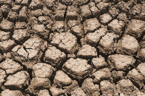 אדמה סדוקה משוועת למים
מפרץ חיפה
2017