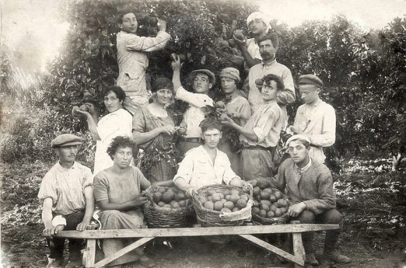 Agriculture_in_Israel-Ein_Ganim-KATIF-1923