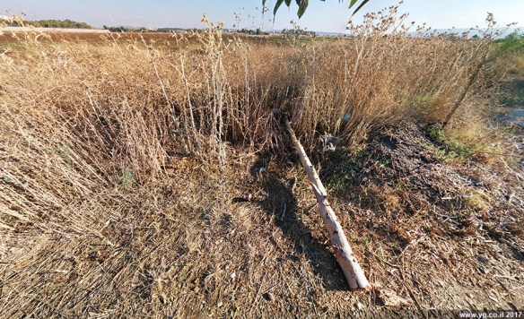 שדות כפר ביאליק, סוף קיץ 2017 ליד הפוארה
