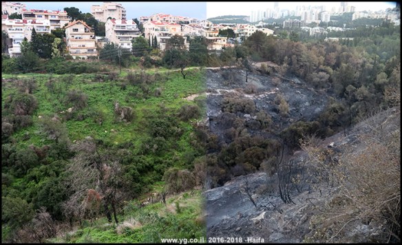 יום אחרי השריפה - שנה אחרי