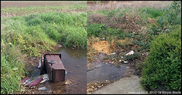 שלולית חורף סמוך לפוארה