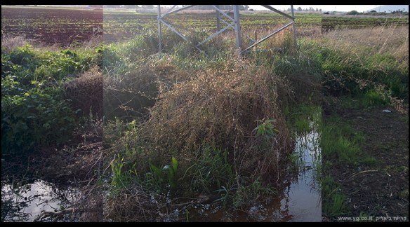 IMG_20171227_075548-900