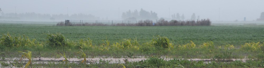 פרספקטיבה אוורית