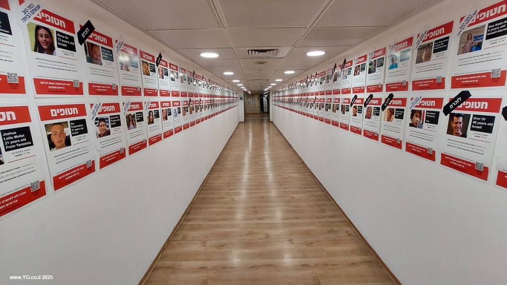 פרספקטיבה קווית